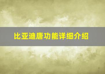 比亚迪唐功能详细介绍