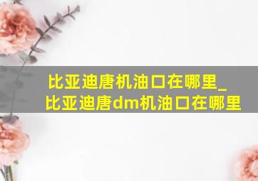 比亚迪唐机油口在哪里_比亚迪唐dm机油口在哪里