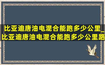 比亚迪唐油电混合能跑多少公里_比亚迪唐油电混合能跑多少公里路