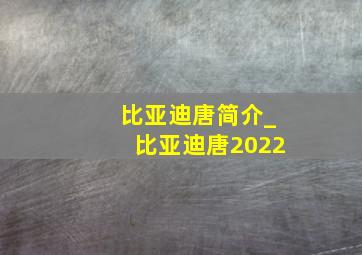 比亚迪唐简介_比亚迪唐2022