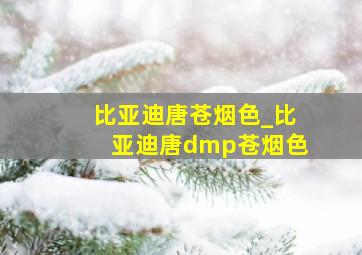 比亚迪唐苍烟色_比亚迪唐dmp苍烟色