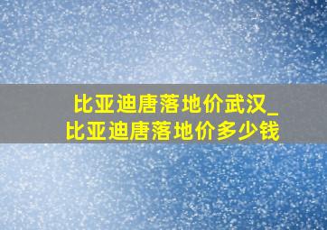 比亚迪唐落地价武汉_比亚迪唐落地价多少钱