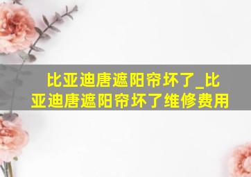 比亚迪唐遮阳帘坏了_比亚迪唐遮阳帘坏了维修费用