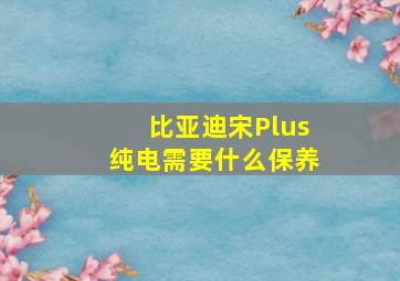 比亚迪宋Plus纯电需要什么保养