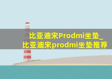 比亚迪宋Prodmi坐垫_比亚迪宋prodmi坐垫推荐