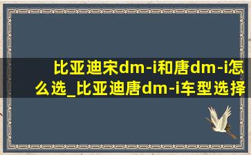 比亚迪宋dm-i和唐dm-i怎么选_比亚迪唐dm-i车型选择