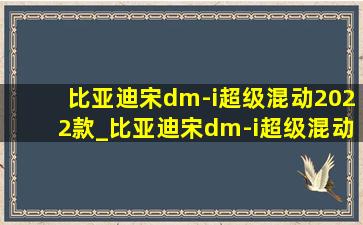 比亚迪宋dm-i超级混动2022款_比亚迪宋dm-i超级混动2022款价格