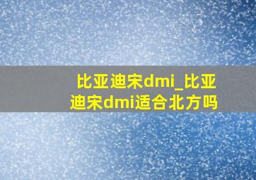 比亚迪宋dmi_比亚迪宋dmi适合北方吗