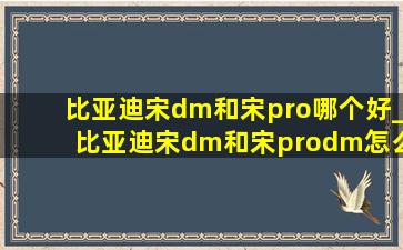 比亚迪宋dm和宋pro哪个好_比亚迪宋dm和宋prodm怎么选