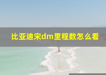 比亚迪宋dm里程数怎么看