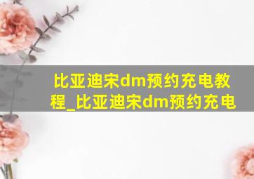 比亚迪宋dm预约充电教程_比亚迪宋dm预约充电