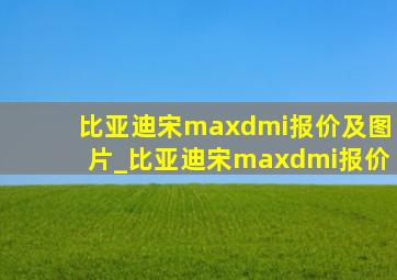 比亚迪宋maxdmi报价及图片_比亚迪宋maxdmi报价