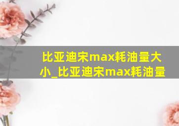 比亚迪宋max耗油量大小_比亚迪宋max耗油量