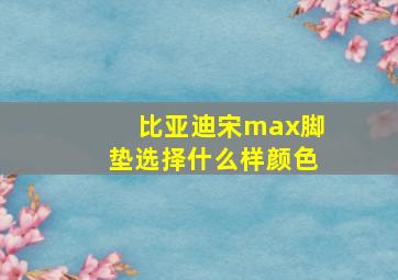 比亚迪宋max脚垫选择什么样颜色