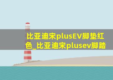 比亚迪宋plusEV脚垫红色_比亚迪宋plusev脚踏