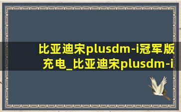 比亚迪宋plusdm-i冠军版充电_比亚迪宋plusdm-i冠军版充电功率