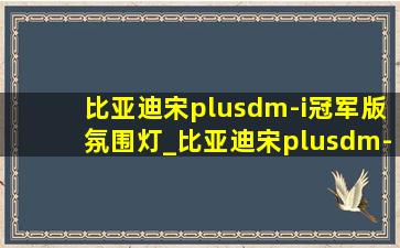 比亚迪宋plusdm-i冠军版氛围灯_比亚迪宋plusdm-i冠军版氛围灯如何设置