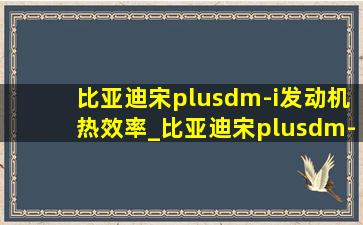 比亚迪宋plusdm-i发动机热效率_比亚迪宋plusdm-i发动机渗油