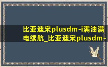 比亚迪宋plusdm-i满油满电续航_比亚迪宋plusdm-i满油满电