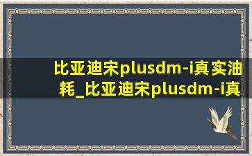 比亚迪宋plusdm-i真实油耗_比亚迪宋plusdm-i真实油耗评测