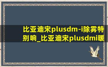 比亚迪宋plusdm-i除雾特别响_比亚迪宋plusdmi暖风打开突突响