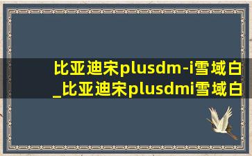 比亚迪宋plusdm-i雪域白_比亚迪宋plusdmi雪域白是什么漆