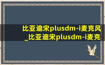 比亚迪宋plusdm-i麦克风_比亚迪宋plusdm-i麦克风怎么用