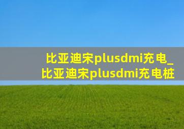 比亚迪宋plusdmi充电_比亚迪宋plusdmi充电桩