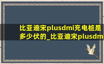 比亚迪宋plusdmi充电桩是多少伏的_比亚迪宋plusdmi充电桩是多少瓦