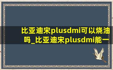 比亚迪宋plusdmi可以烧油吗_比亚迪宋plusdmi能一直烧油吗