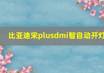 比亚迪宋plusdmi智自动开灯