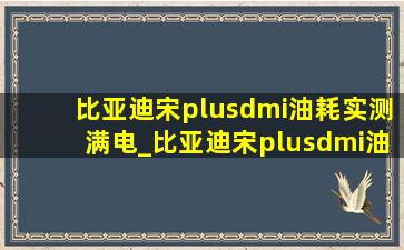 比亚迪宋plusdmi油耗实测满电_比亚迪宋plusdmi油耗实测