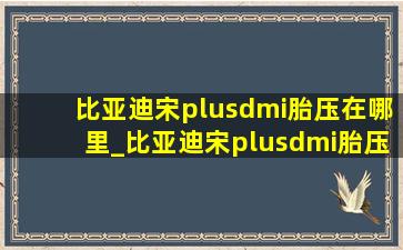 比亚迪宋plusdmi胎压在哪里_比亚迪宋plusdmi胎压在哪里看