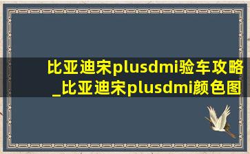 比亚迪宋plusdmi验车攻略_比亚迪宋plusdmi颜色图片