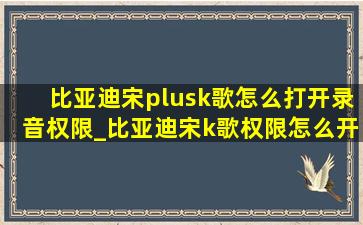 比亚迪宋plusk歌怎么打开录音权限_比亚迪宋k歌权限怎么开