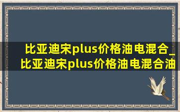 比亚迪宋plus价格油电混合_比亚迪宋plus价格油电混合油耗