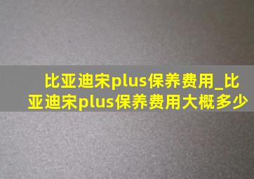 比亚迪宋plus保养费用_比亚迪宋plus保养费用大概多少