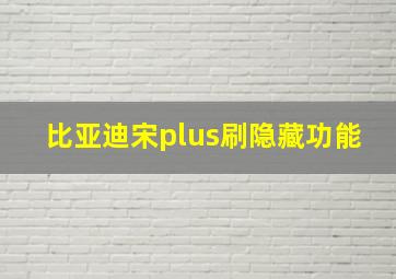 比亚迪宋plus刷隐藏功能