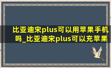 比亚迪宋plus可以用苹果手机吗_比亚迪宋plus可以充苹果手机吗