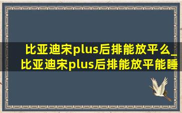 比亚迪宋plus后排能放平么_比亚迪宋plus后排能放平能睡人么