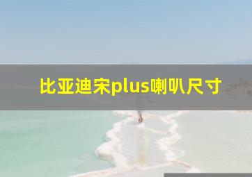 比亚迪宋plus喇叭尺寸