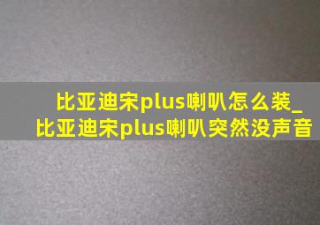 比亚迪宋plus喇叭怎么装_比亚迪宋plus喇叭突然没声音