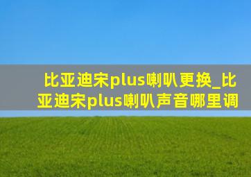 比亚迪宋plus喇叭更换_比亚迪宋plus喇叭声音哪里调