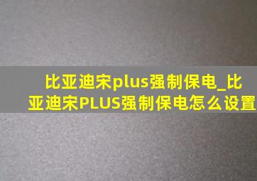 比亚迪宋plus强制保电_比亚迪宋PLUS强制保电怎么设置