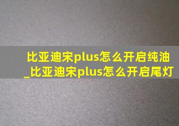 比亚迪宋plus怎么开启纯油_比亚迪宋plus怎么开启尾灯