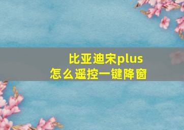 比亚迪宋plus怎么遥控一键降窗