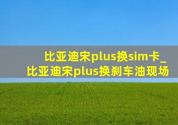 比亚迪宋plus换sim卡_比亚迪宋plus换刹车油现场