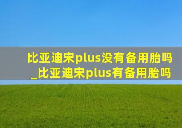 比亚迪宋plus没有备用胎吗_比亚迪宋plus有备用胎吗