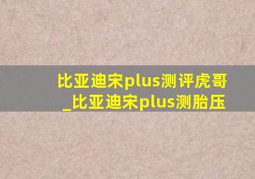 比亚迪宋plus测评虎哥_比亚迪宋plus测胎压