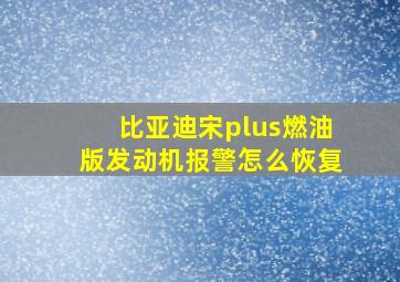 比亚迪宋plus燃油版发动机报警怎么恢复